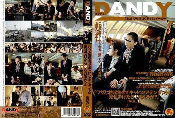 [DANDY-079] “What will you do when confronted by a flight attendant? Let erection and skill decide?”