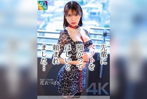 [CRNX-254] [4K] I Was Asked by My Senior to Take Care of Her Pet… Tsubaki Hanai