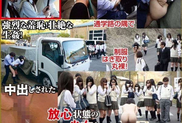 [AVOP-604] Natural High 15th anniversary commemorative work: Chikan compilation 2014 Nude school commute chikan